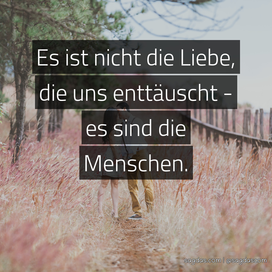 Spruch Es ist nicht die Liebe, die uns enttäuscht sagdas