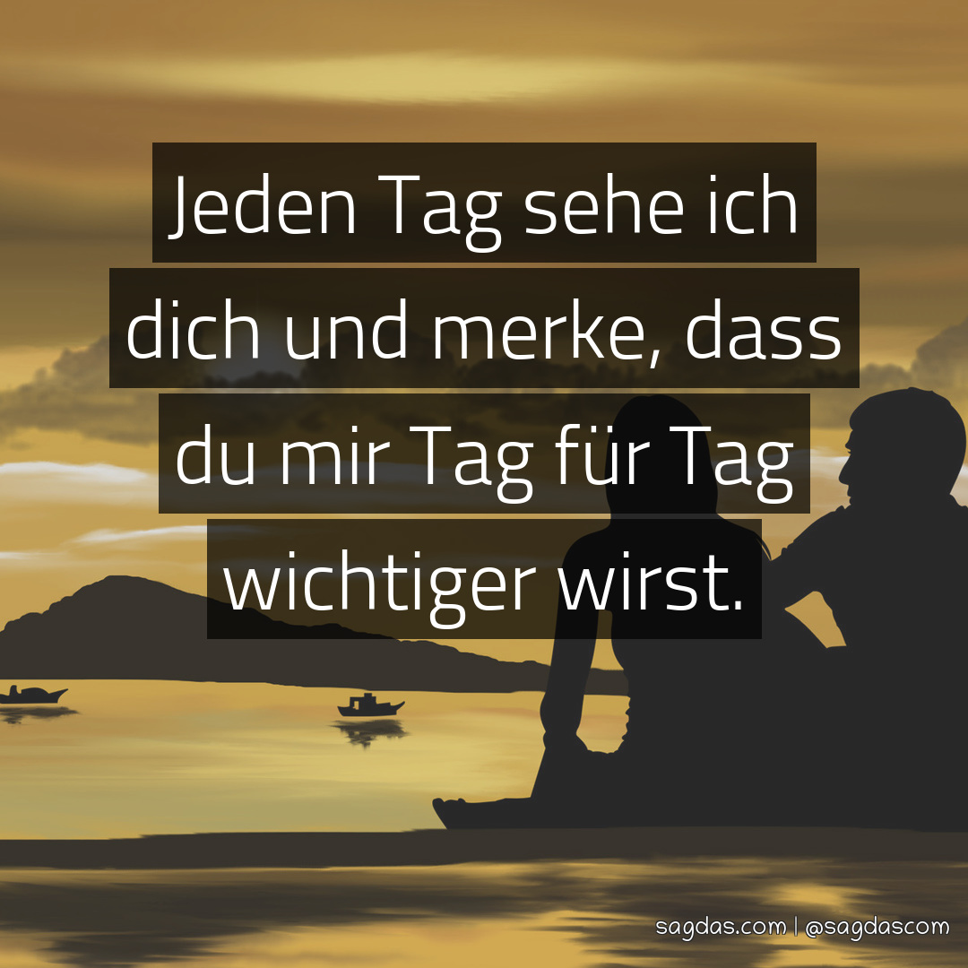 Spruch Jeden Tag sehe ich dich und merke, dass du mir sagdas