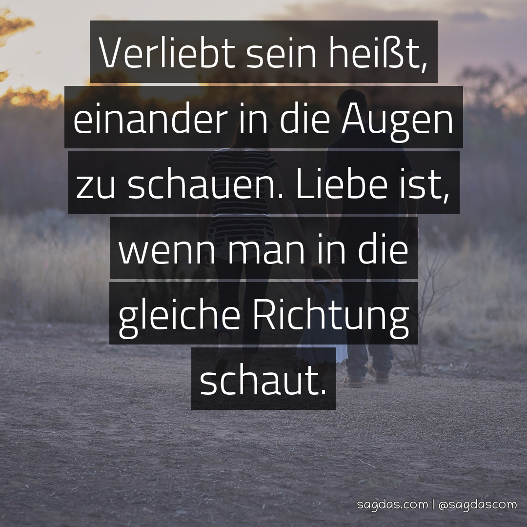 Spruch Verliebt sein heißt, einander in die Augen zu sagdas