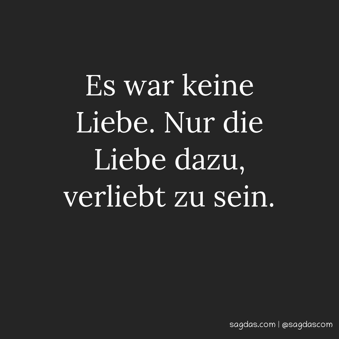Spruch Es war keine Liebe. Nur die Liebe dazu, sagdas