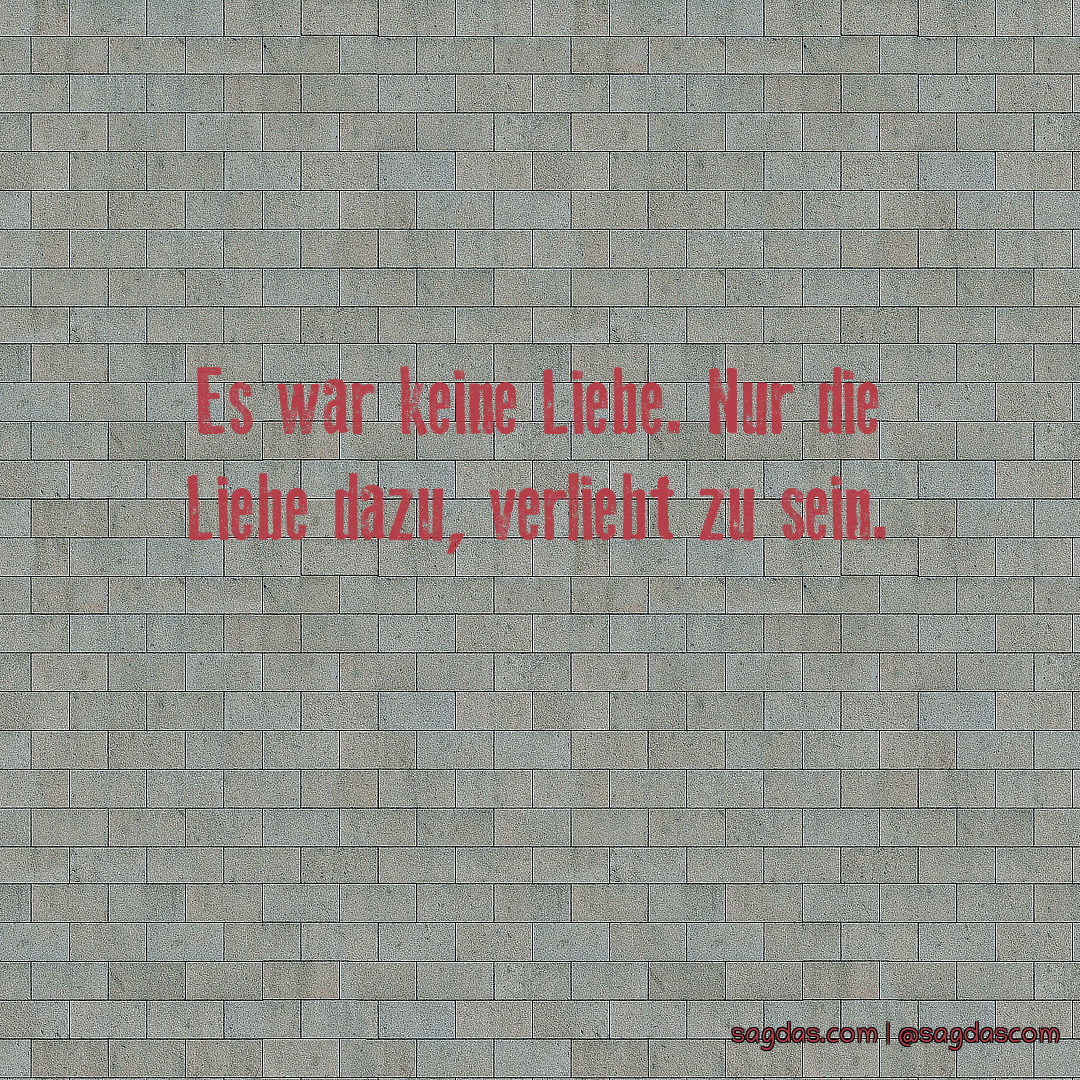 Spruch Es war keine Liebe. Nur die Liebe dazu, sagdas