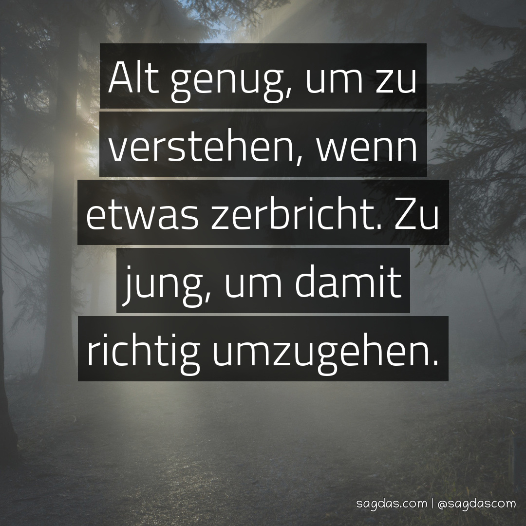 Spruch Alt genug, um zu verstehen, wenn etwas sagdas