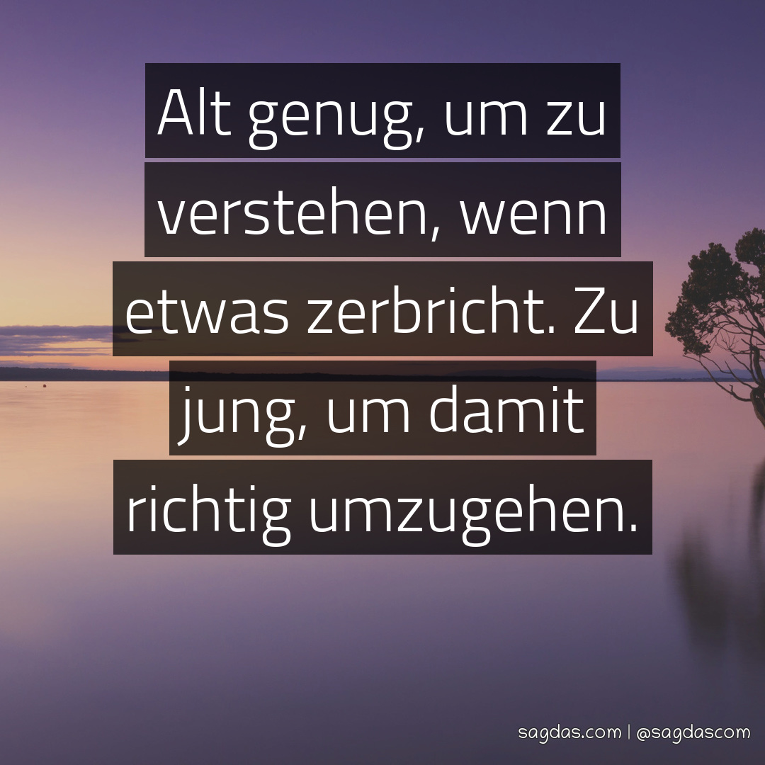 Spruch Alt genug, um zu verstehen, wenn etwas sagdas