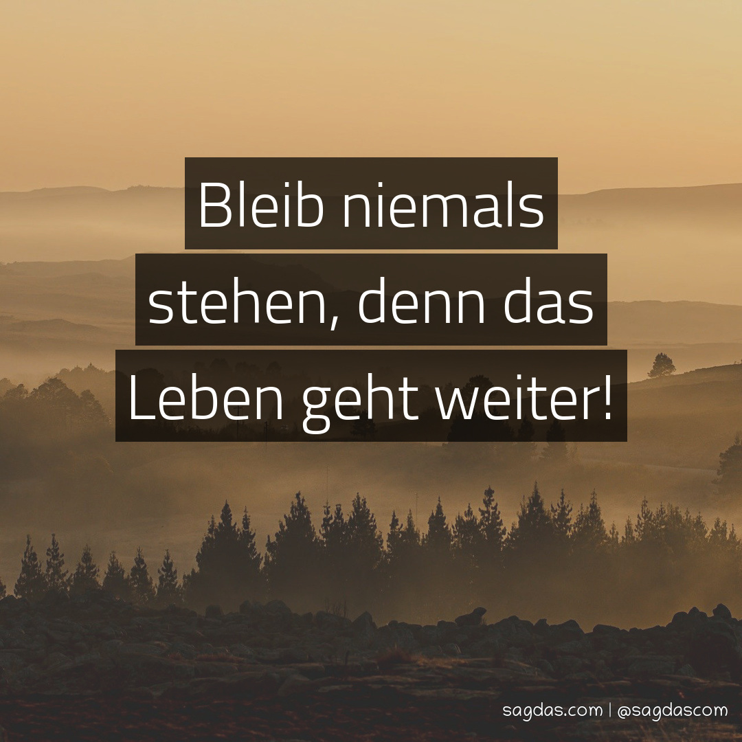 Spruch Bleib niemals stehen, denn das Leben geht sagdas