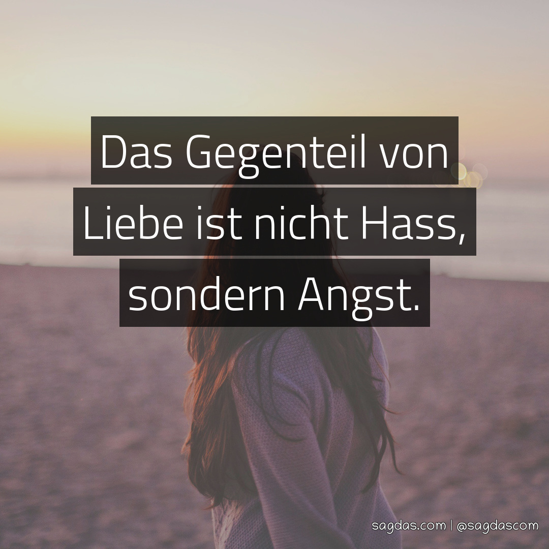Spruch Das Gegenteil von Liebe ist nicht Hass, sondern sagdas