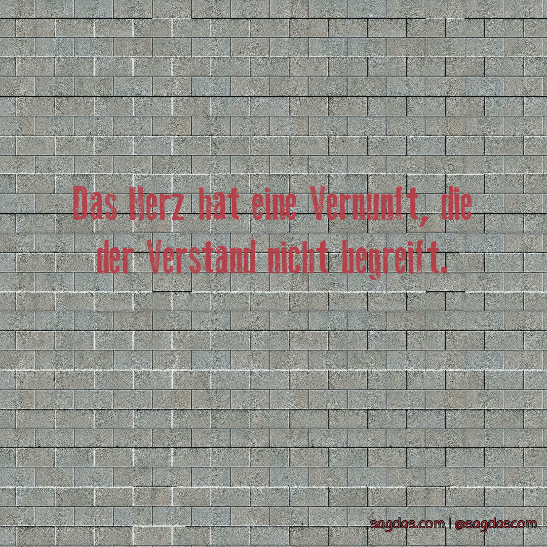 Spruch Das Herz hat eine Vernunft, die der Verstand sagdas