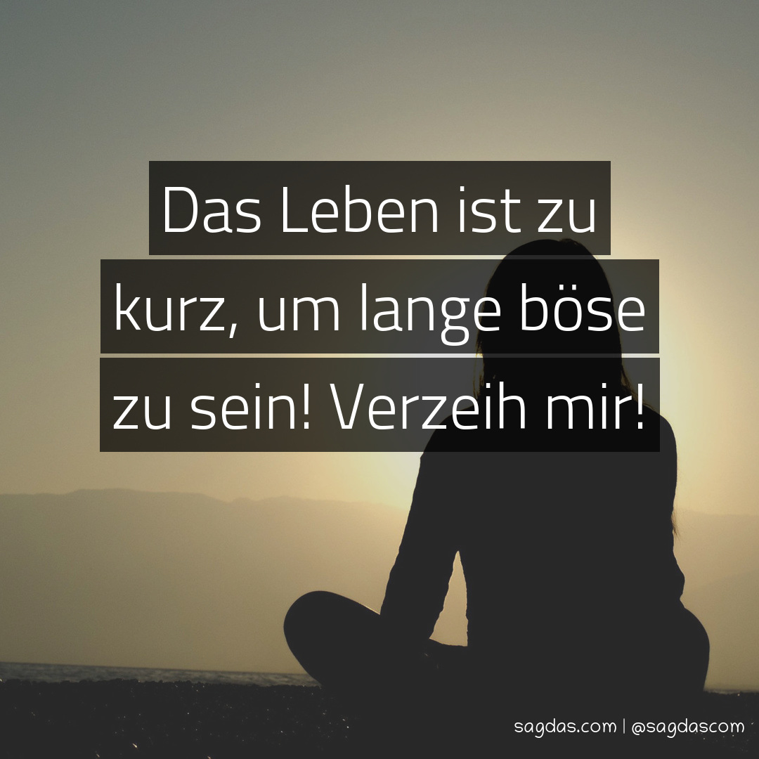 Spruch Das Leben ist zu kurz, um lange böse zu sein! sagdas