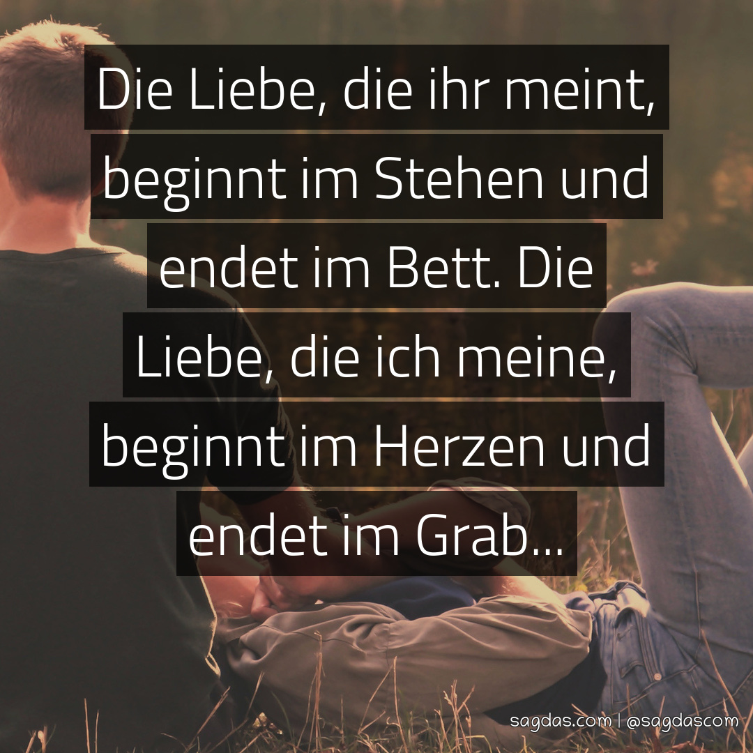 Spruch Die Liebe, die ihr meint, beginnt im Stehen und sagdas