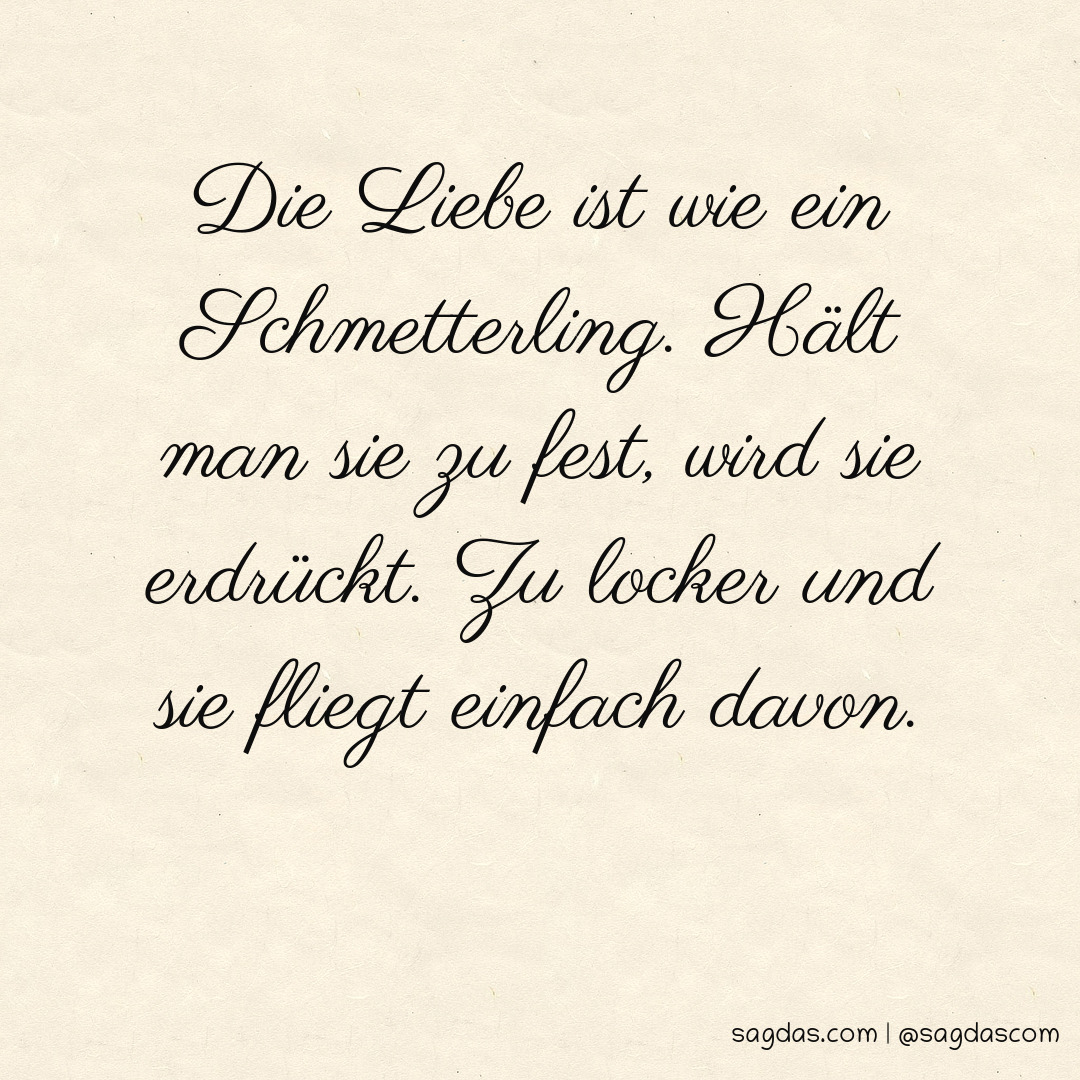 Spruch Die Liebe ist wie ein Schmetterling. Hält man sagdas