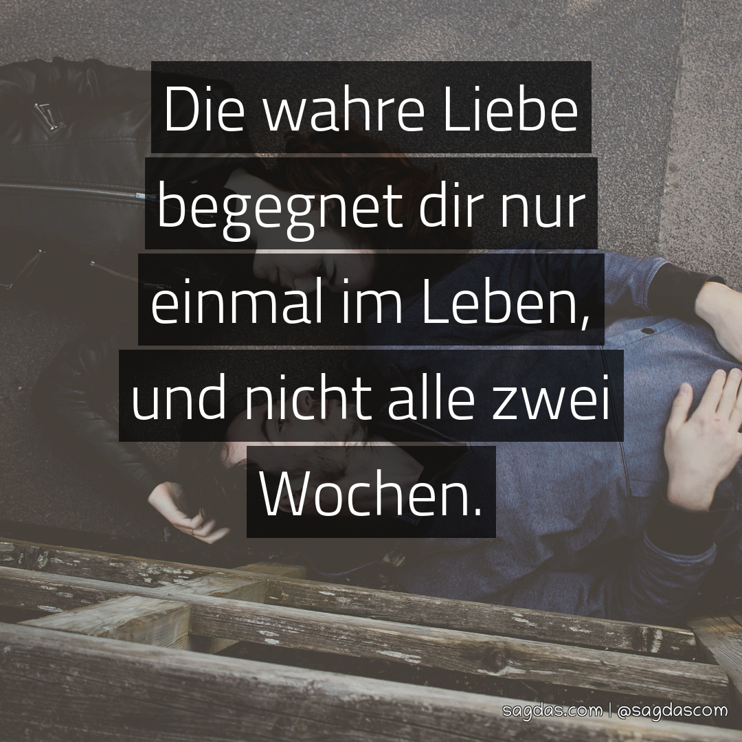 Spruch Die wahre Liebe dir nur einmal im sagdas