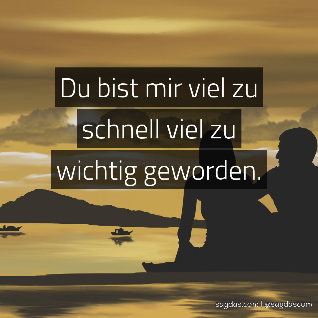 Spruch Du bist mir viel zu schnell viel zu wichtig sagdas