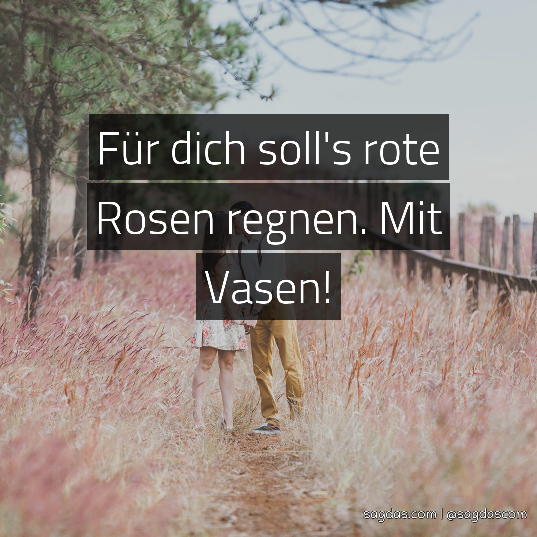 Spruch Für dich soll's rote Rosen regnen. Mit Vasen! sagdas
