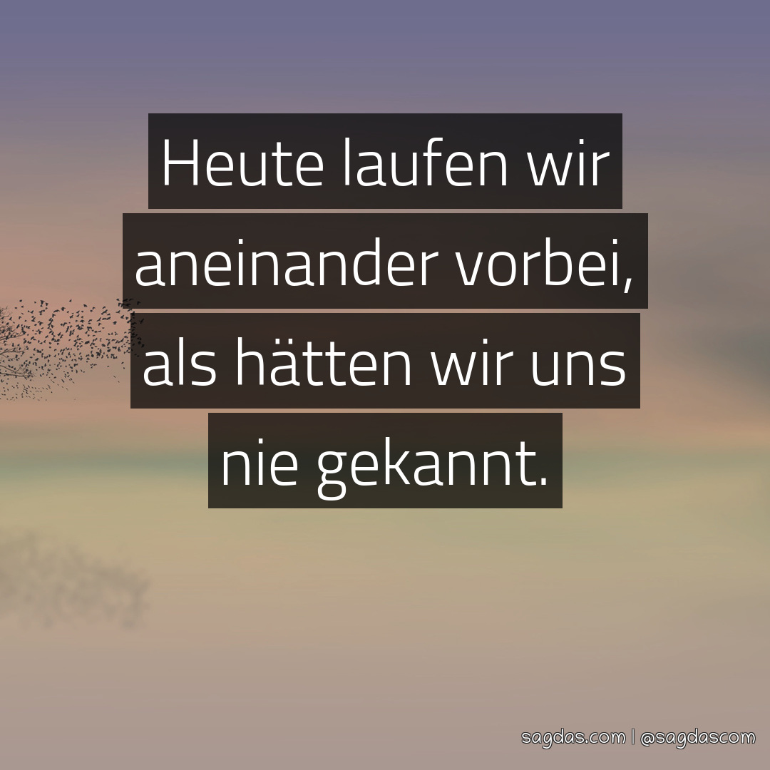 Spruch Heute laufen wir aneinander vorbei, als hätten sagdas