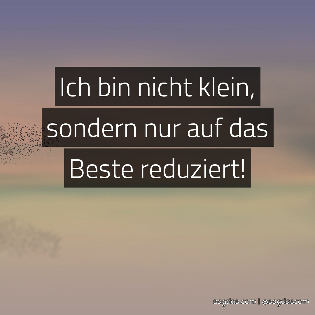 Spruch Ich bin nicht klein, sondern nur auf das Beste sagdas