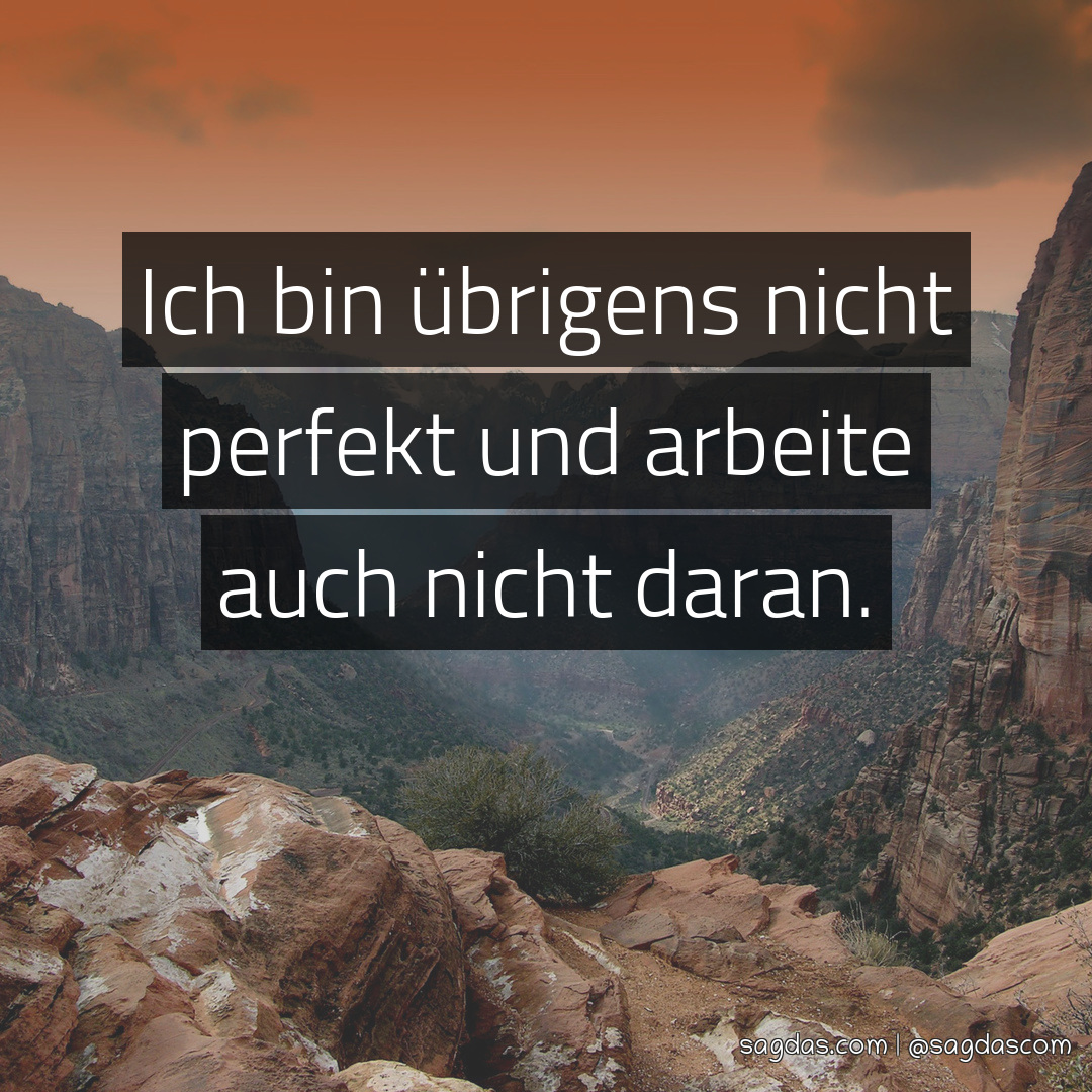 Spruch Ich bin übrigens nicht perfekt und arbeite sagdas