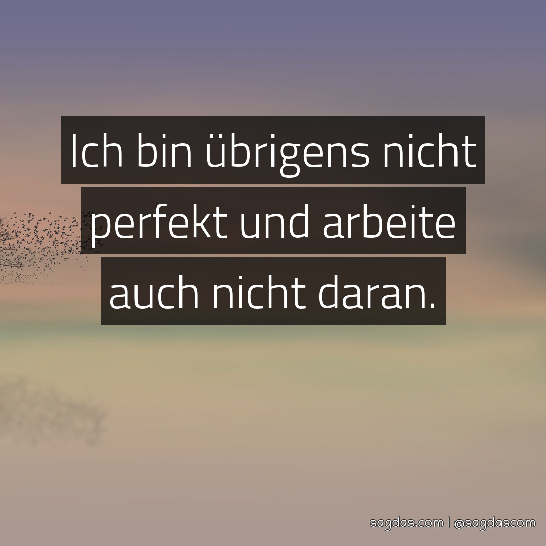 Spruch Ich bin übrigens nicht perfekt und arbeite sagdas