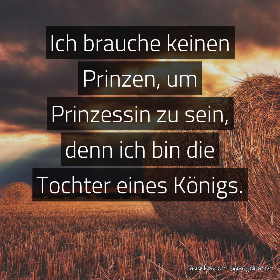 Spruch Ich brauche keinen Prinzen, um Prinzessin zu sagdas