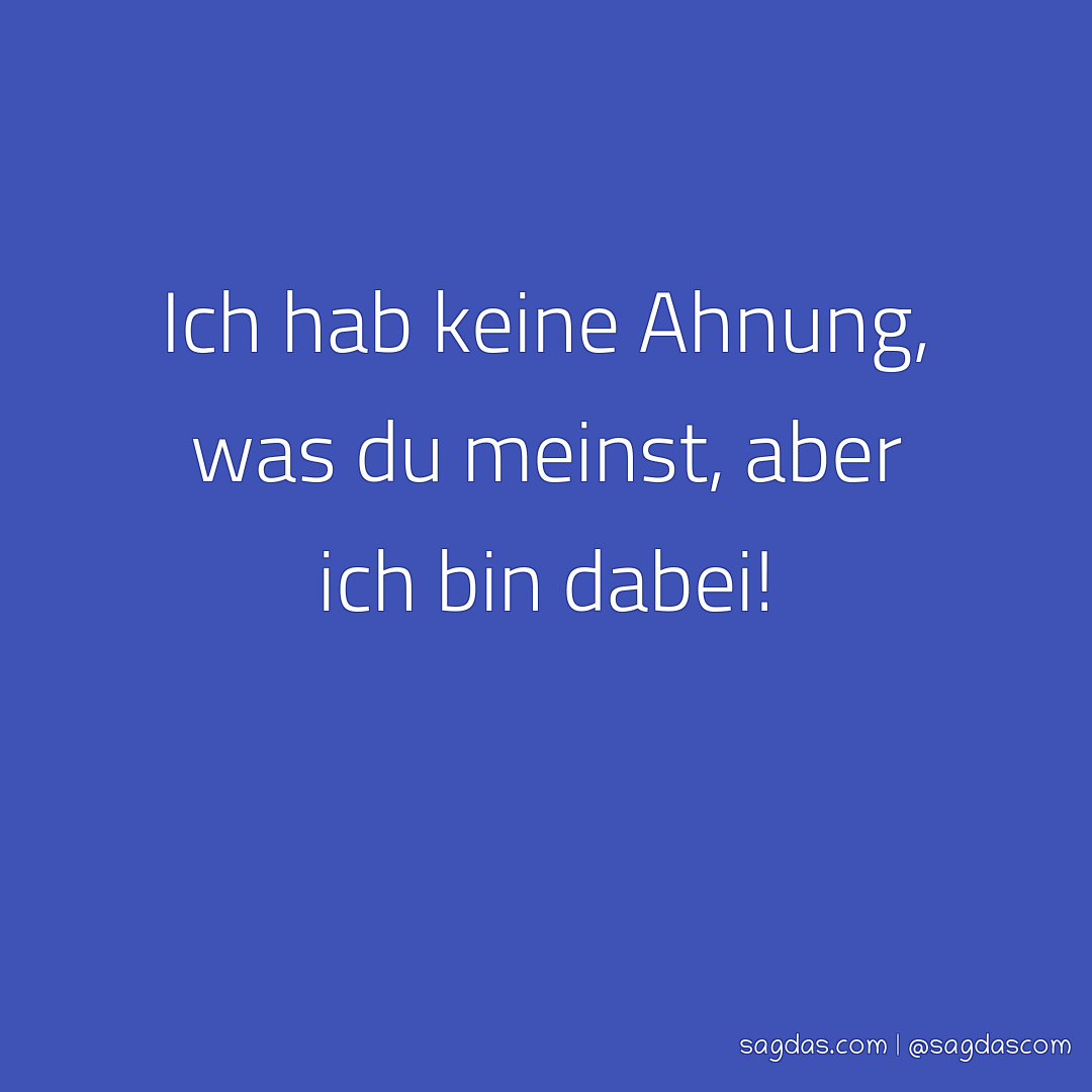 Spruch Ich hab keine Ahnung, was du meinst, aber ich sagdas