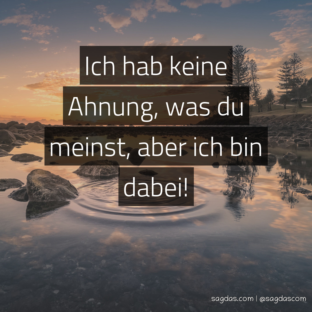 Spruch Ich hab keine Ahnung, was du meinst, aber ich sagdas