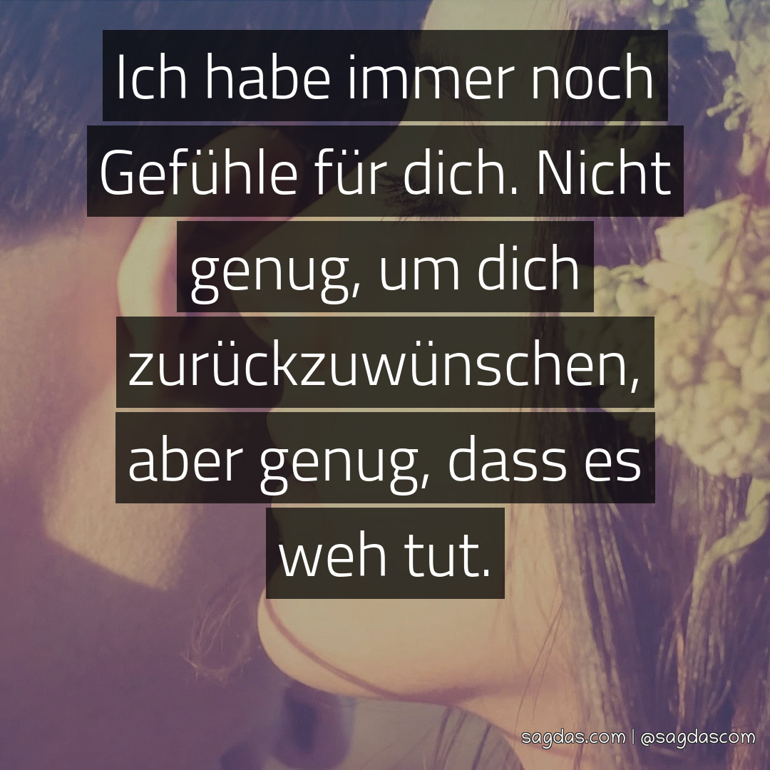 Spruch Ich habe immer noch Gefühle für dich. Nicht sagdas