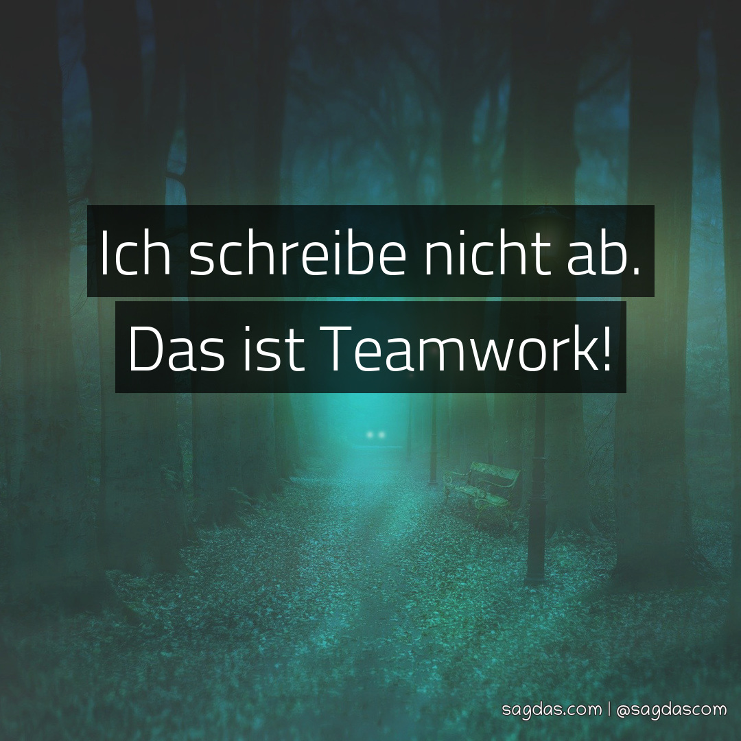 Spruch Ich schreibe nicht ab. Das ist Teamwork! sagdas