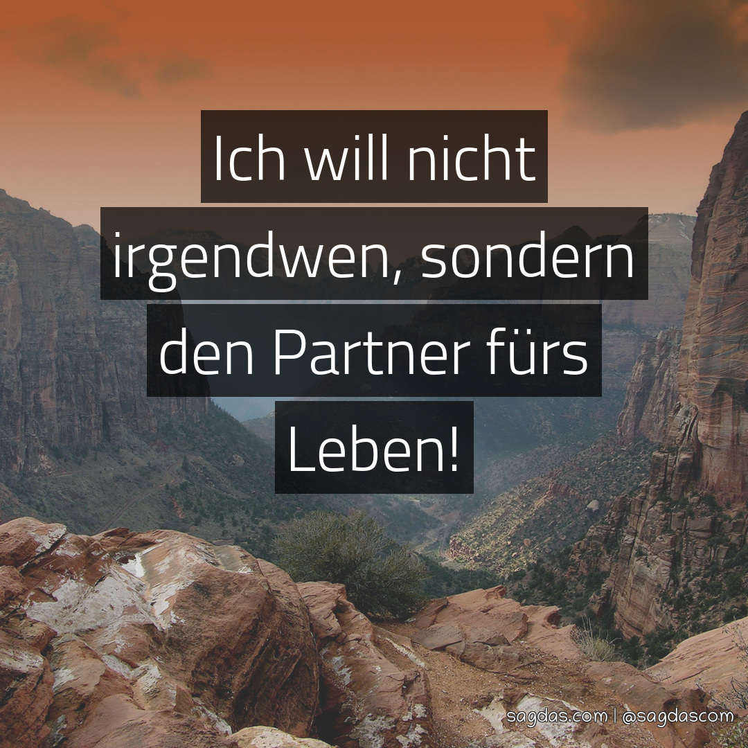 Spruch Ich will nicht irgendwen, sondern den Partner sagdas