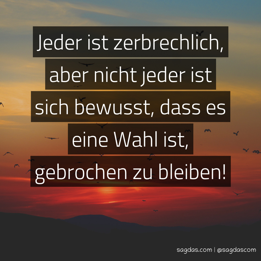 Spruch Jeder ist zerbrechlich, aber nicht jeder ist sagdas