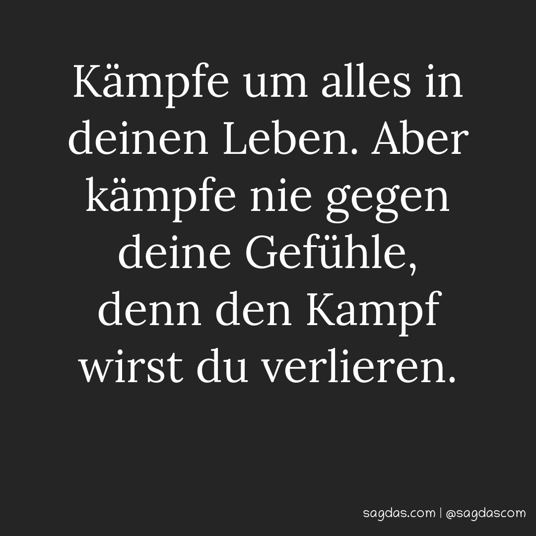 Spruch Kämpfe um alles in deinen Leben. Aber kämpfe sagdas