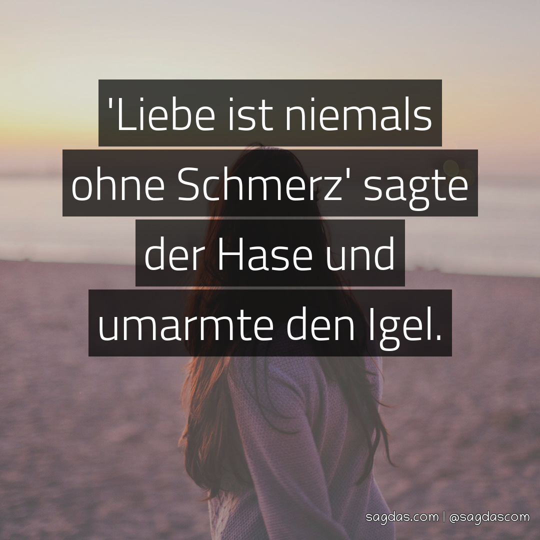 Spruch 'Liebe ist niemals ohne Schmerz' sagte der Hase sagdas