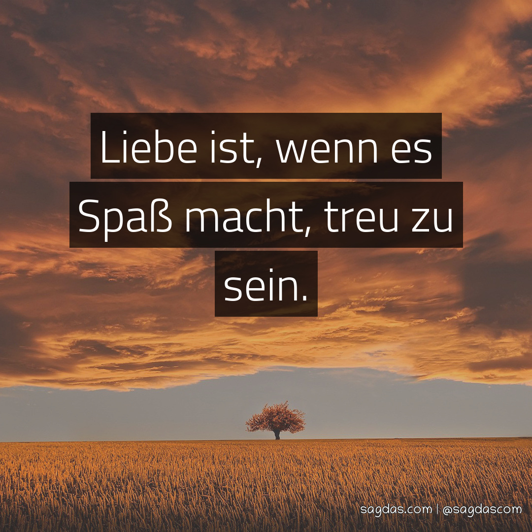 Spruch Liebe ist, wenn es Spaß macht, treu zu sein. sagdas
