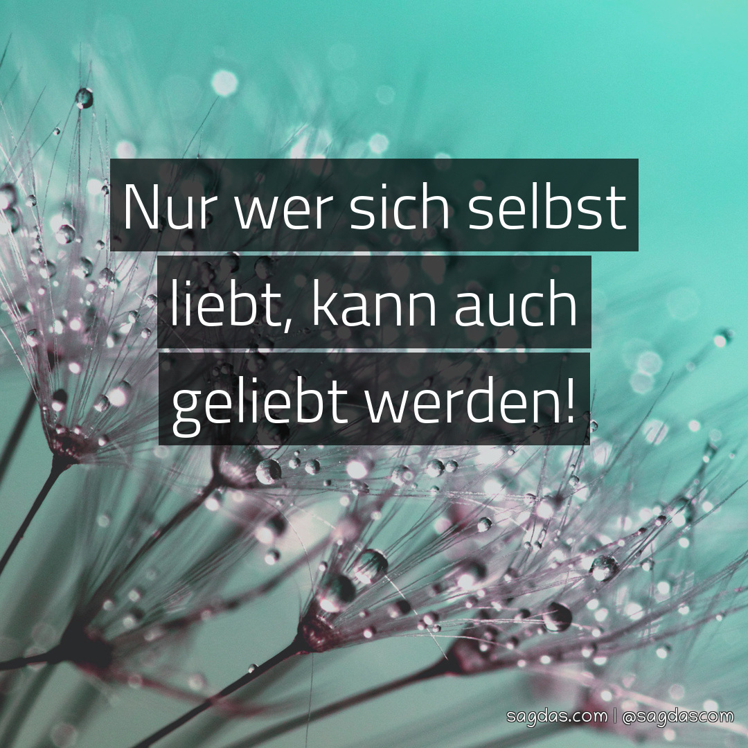 Spruch Nur wer sich selbst liebt, kann auch geliebt sagdas