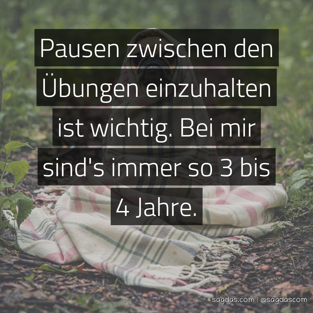 Spruch Pausen zwischen den Übungen einzuhalten ist sagdas