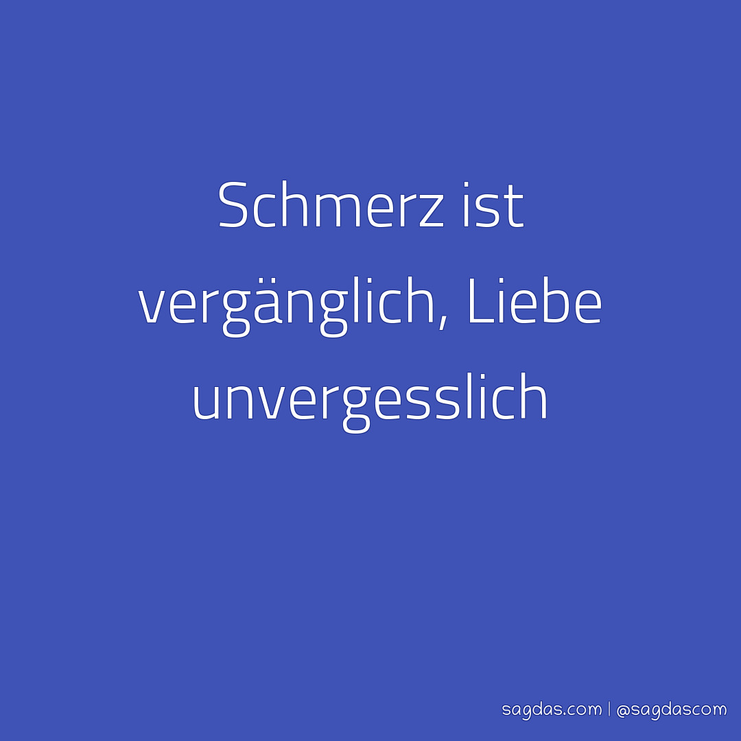 Spruch Schmerz ist vergänglich, Liebe unvergesslich sagdas