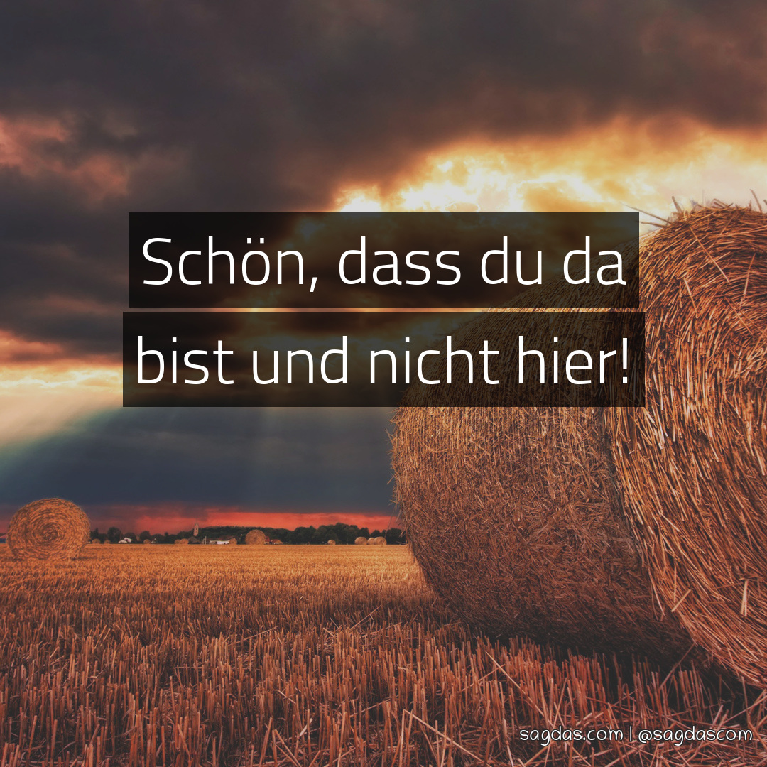 Spruch Schön, dass du da bist und nicht hier! sagdas