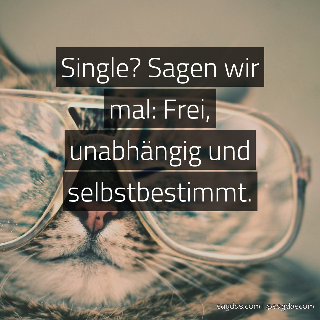 Spruch Single? Sagen wir mal Frei, unabhängig und sagdas