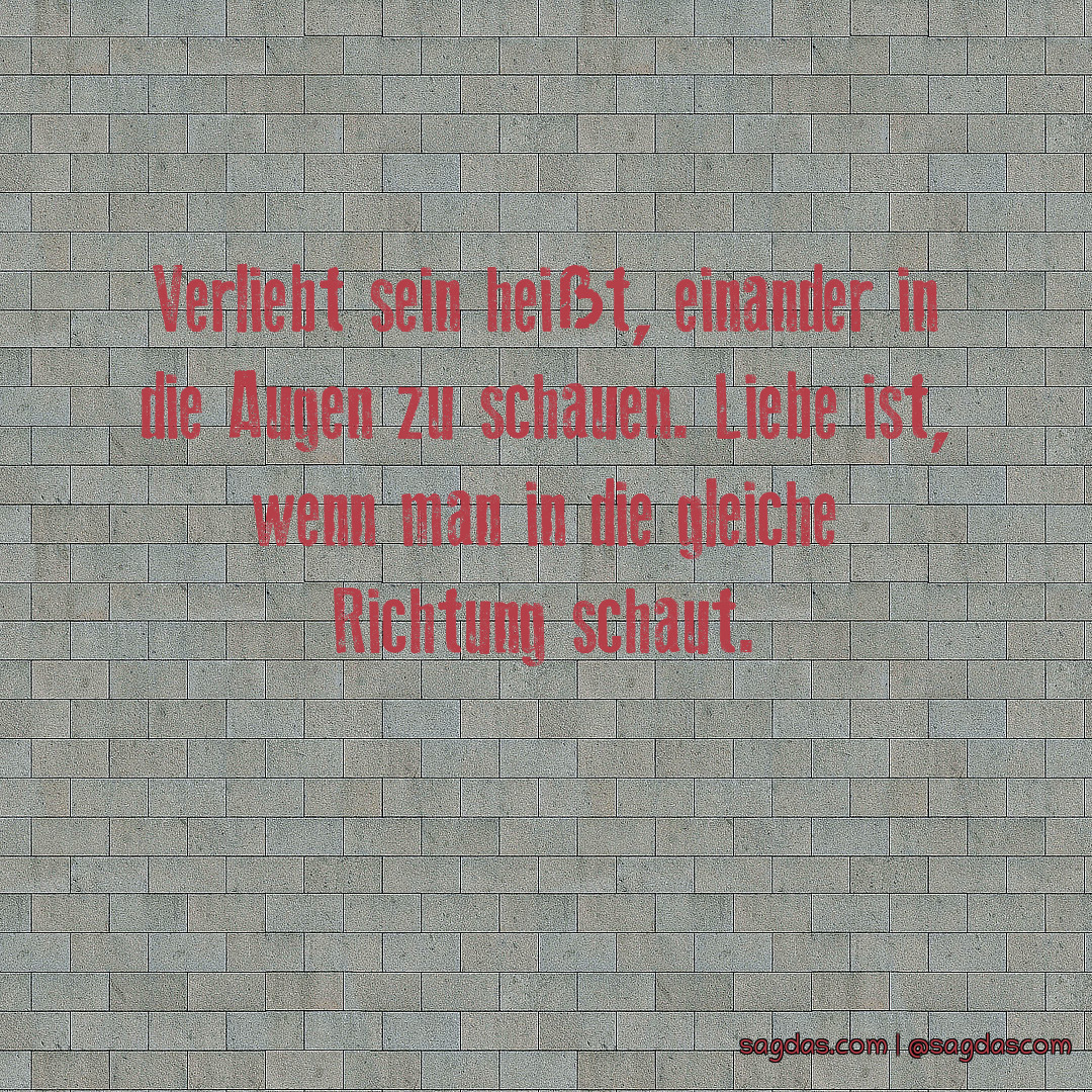Spruch Verliebt sein heißt, einander in die Augen zu sagdas