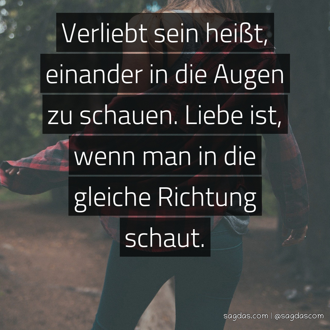 Spruch Verliebt sein heißt, einander in die Augen zu sagdas