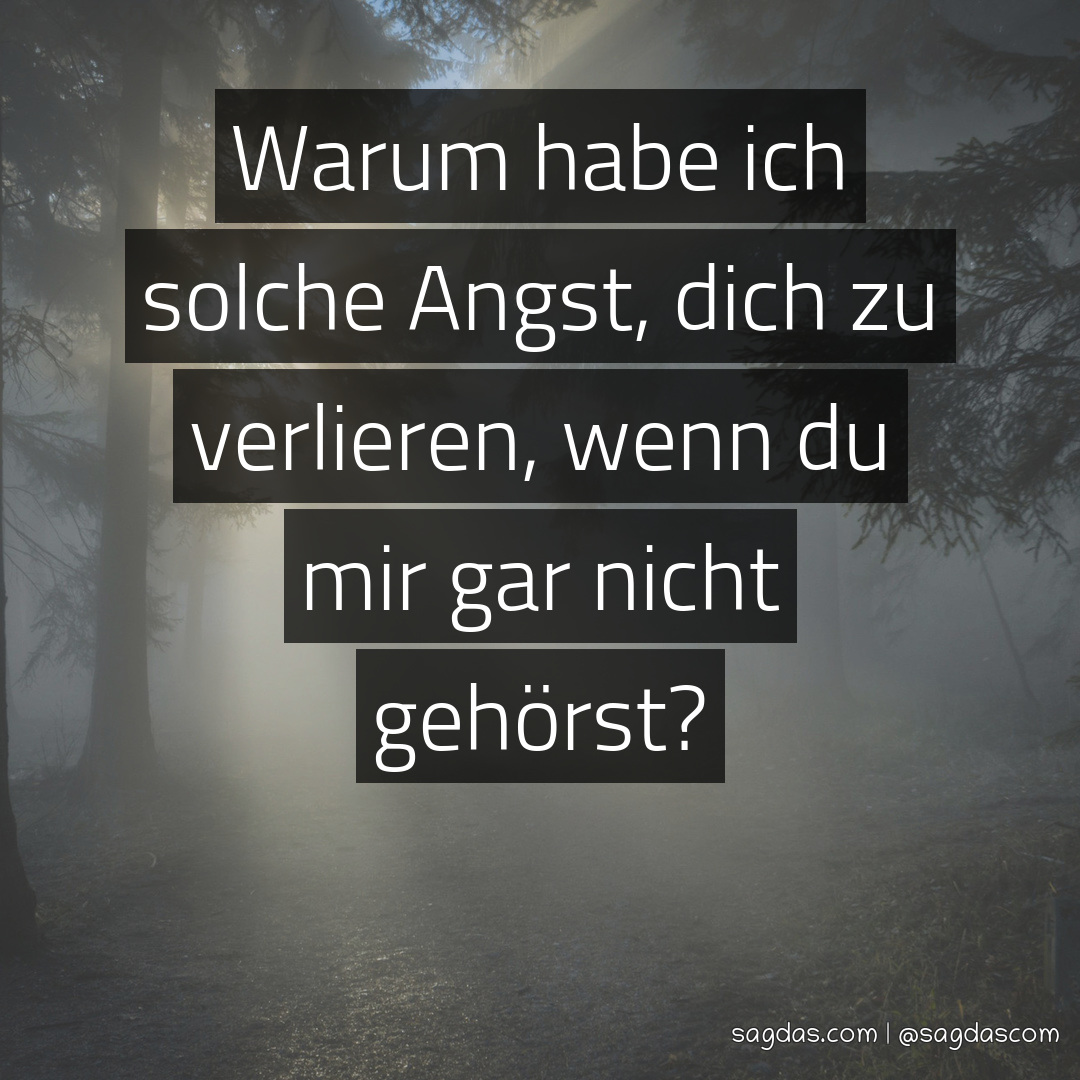 Spruch Warum habe ich solche Angst, dich zu verlieren, sagdas