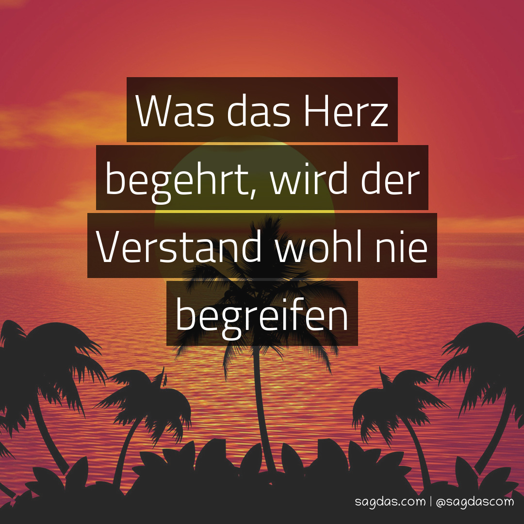 Spruch Was das Herz begehrt, wird der Verstand wohl sagdas