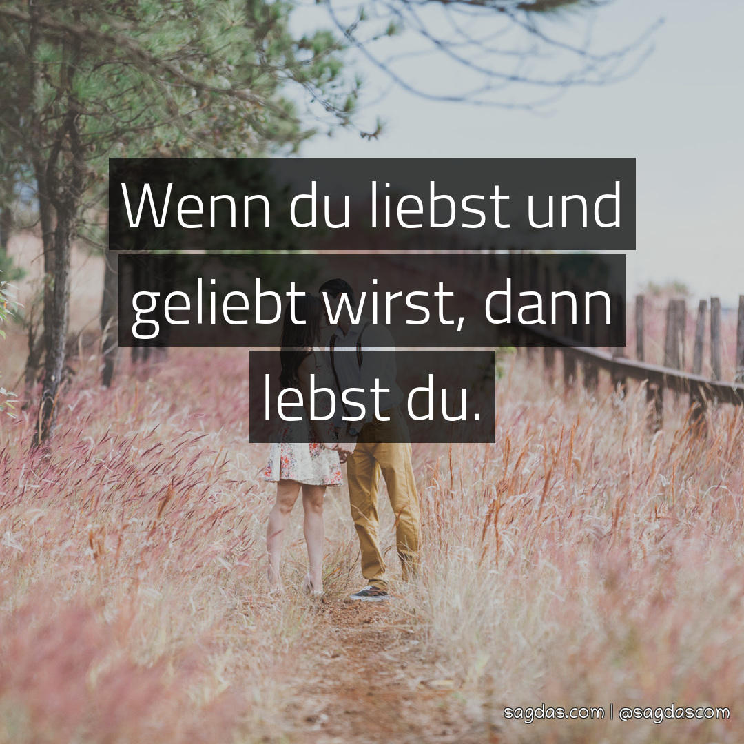 Spruch Wenn du liebst und geliebt wirst, dann lebst sagdas