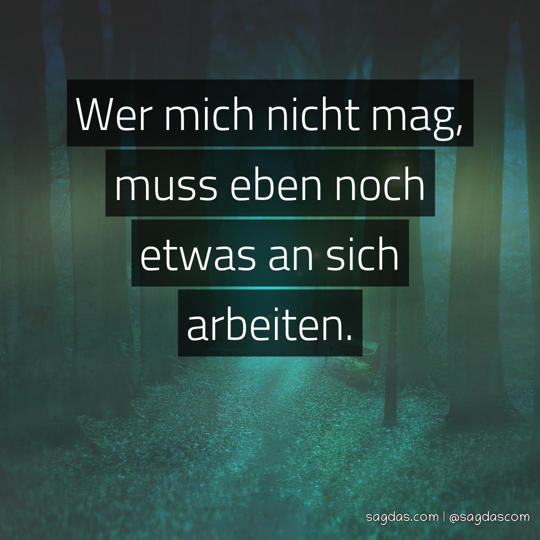 Spruch Wer mich nicht mag, muss eben noch etwas an sagdas