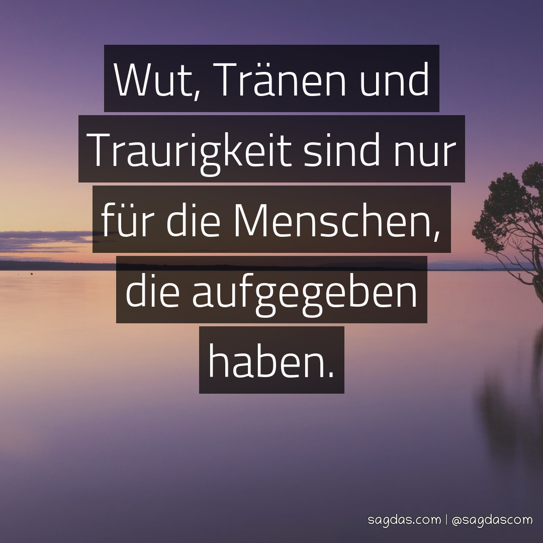 Spruch Wut, Tränen und Traurigkeit sind nur für die sagdas