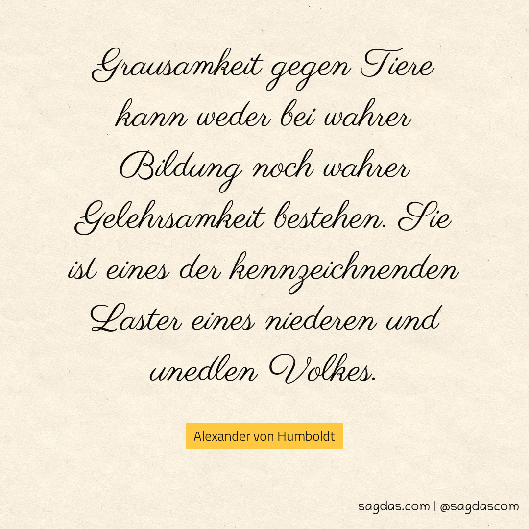 Download Bildung zitate humboldt For iPhone Free