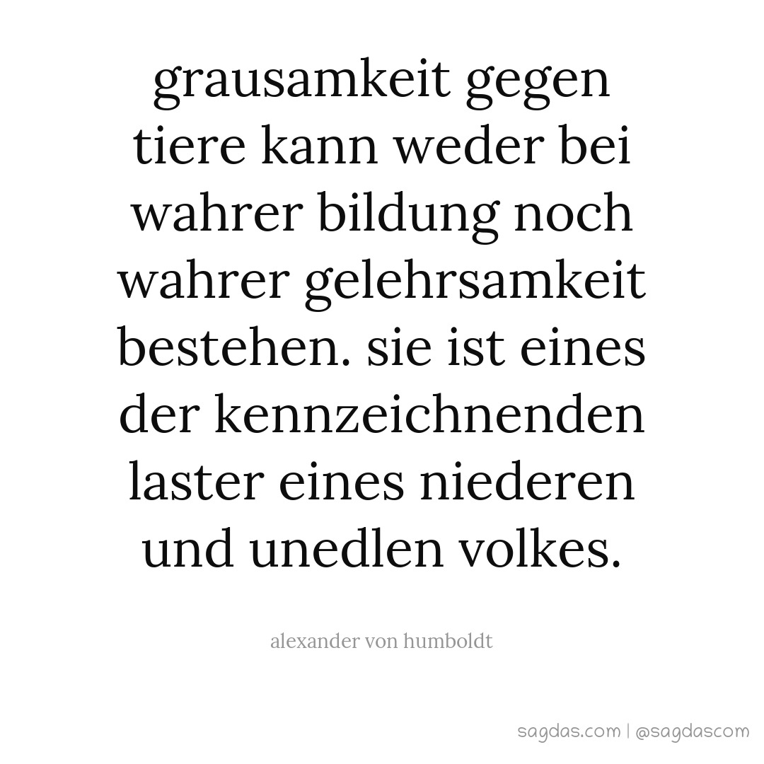 Get Bildung zitate humboldt Free HD