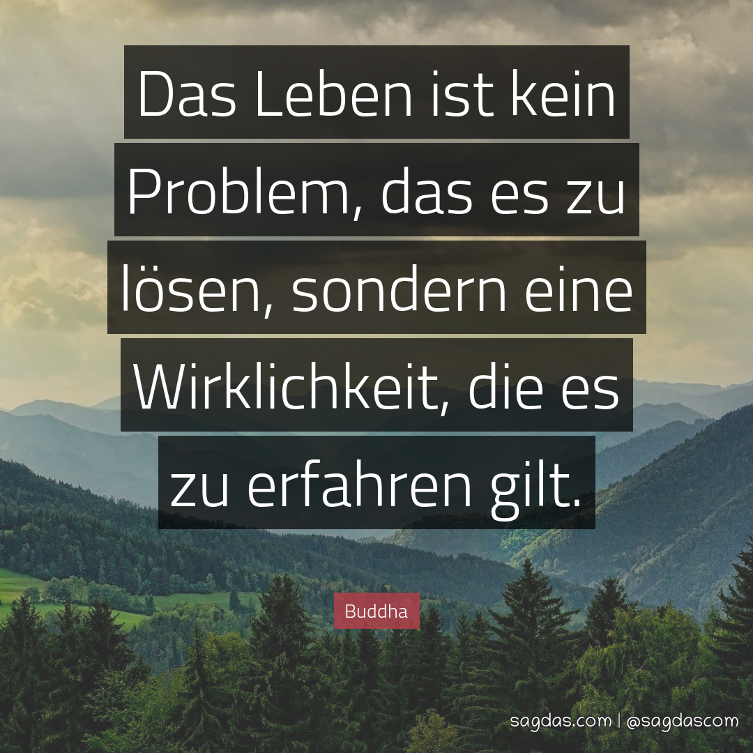 Buddha Zitat: Das Leben ist kein Problem, das es zu - sagdas