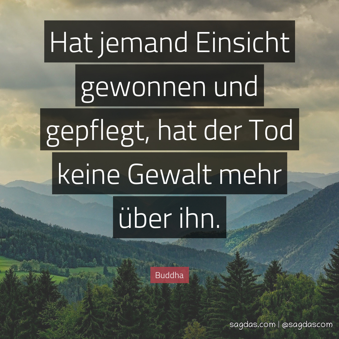 Buddha Zitat Hat jemand Einsicht gewonnen und sagdas