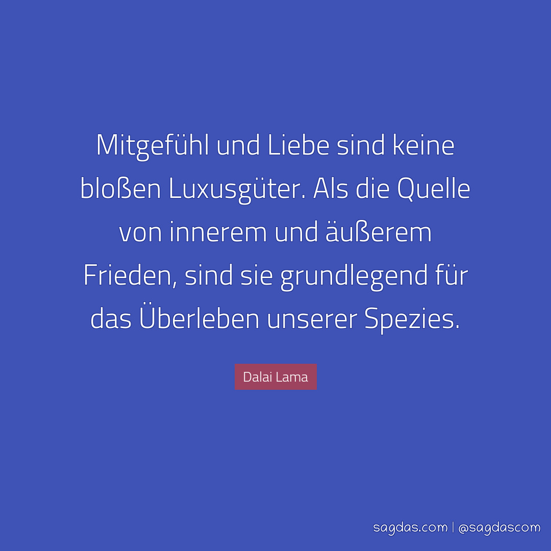 Zitate mitgefühl Empathie Zitate