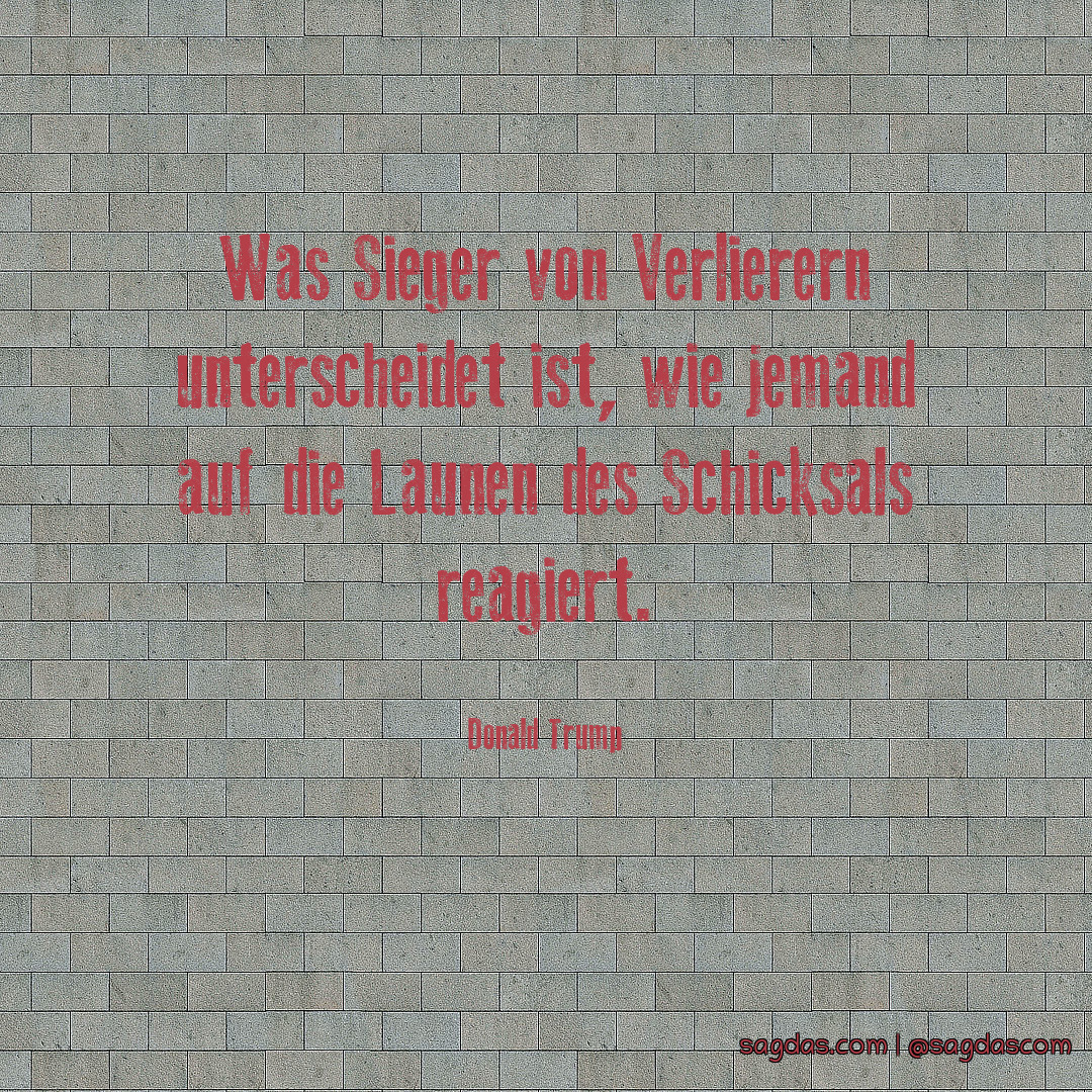 Sieger Sprüche Lustig Lustige Sprüche