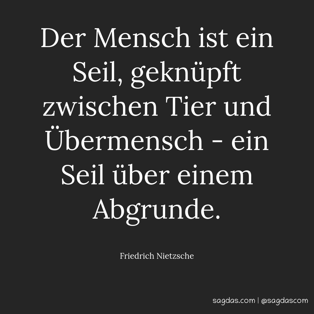Friedrich Nietzsche Zitat Der Mensch ist ein Seil, sagdas