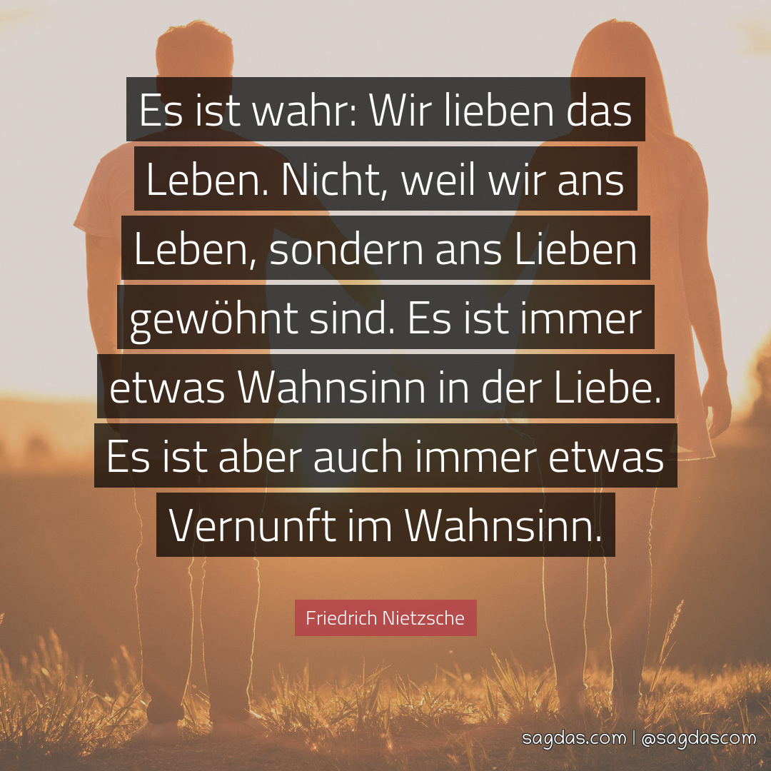 Friedrich Nietzsche Zitat Es ist wahr Wir lieben das sagdas